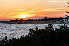 Grado_2019_017