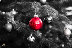 Angekommen!! Frohe Weihnachten!!