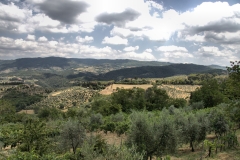 7DII_002957