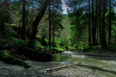 EOS 7D Mark II_007858
